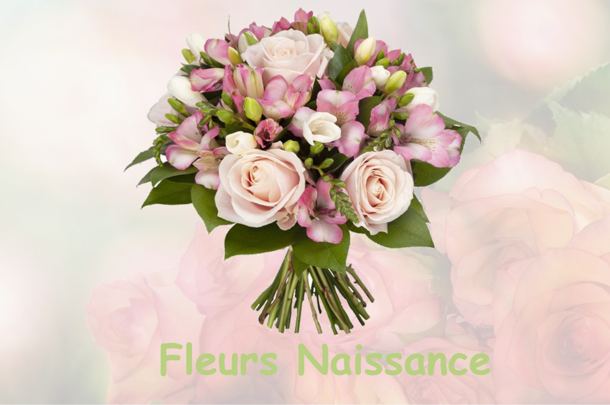 fleurs naissance LASSAY-SUR-CROISNE