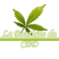 LA BOUTIQUE DU CBD LASSAY-SUR-CROISNE 